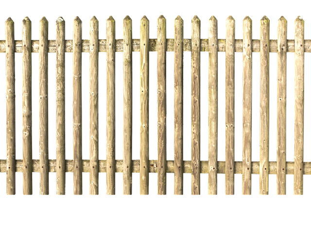 light fence